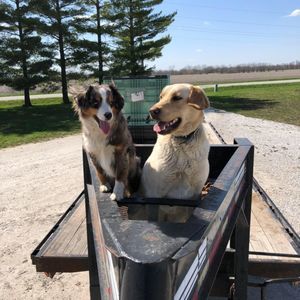 Meet your Posher, Riley